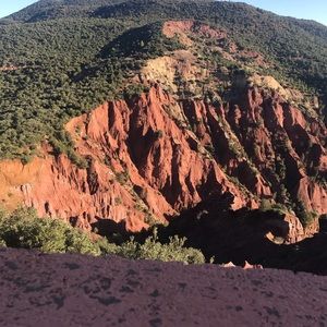 Meet your Posher, Lynn